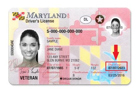 maryland dmv license renewal fee